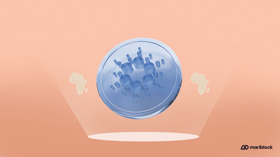 Cardano’s builder launch two-month blockchain training program in Nairobi