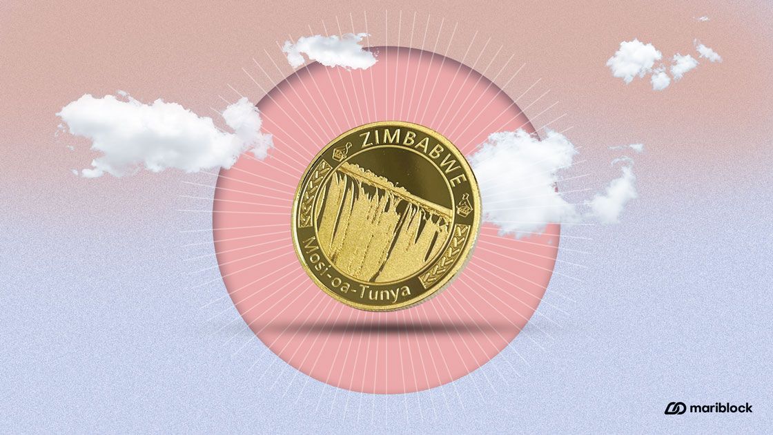 Zimbabwe’s central bank introduces gold-backed digital currency for retail use