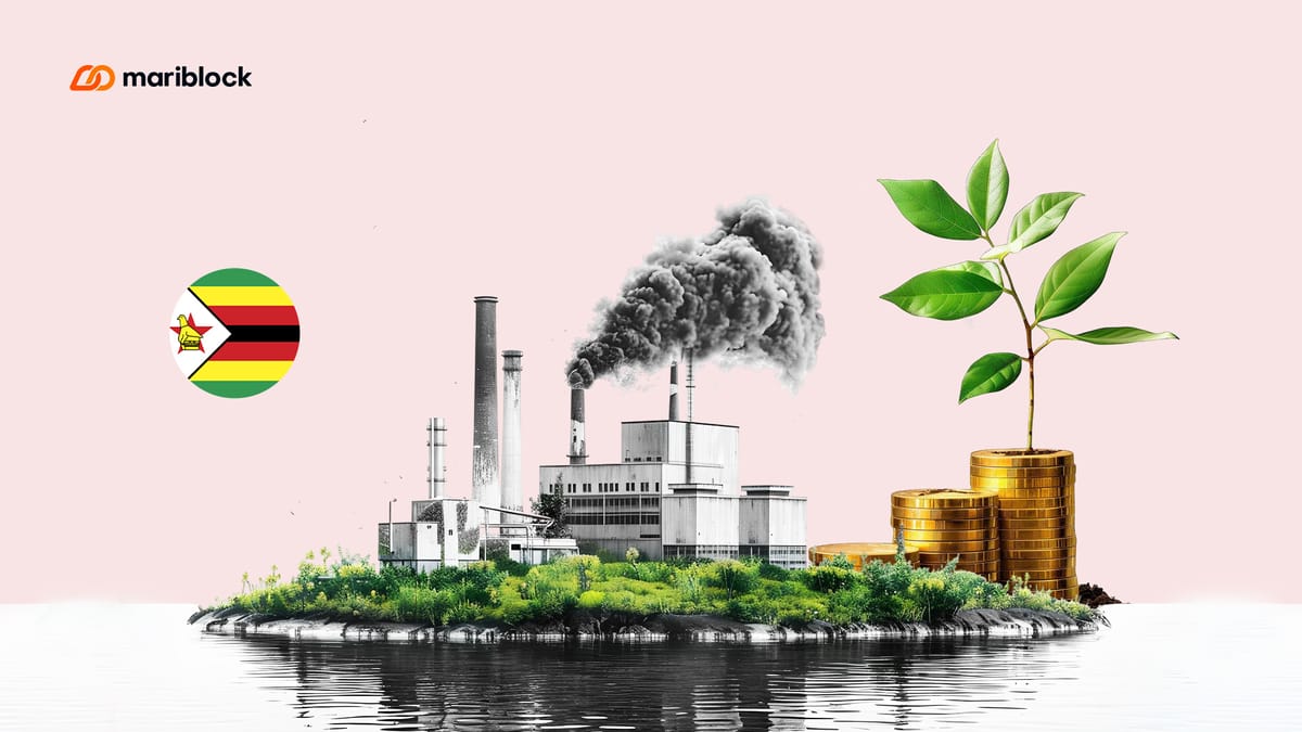 Zimbabwe launches blockchain-based carbon credits trading registry
