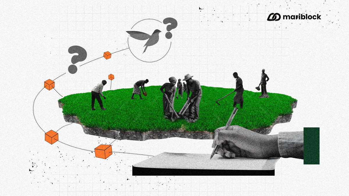 AFAN’s blockchain partnership sparks concerns over Tingo connection