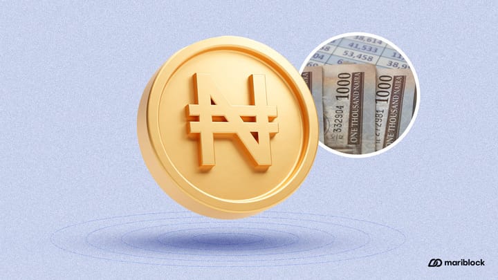 Severely devalued naira expected to perform at poorest ever in 2024 — Bloomberg